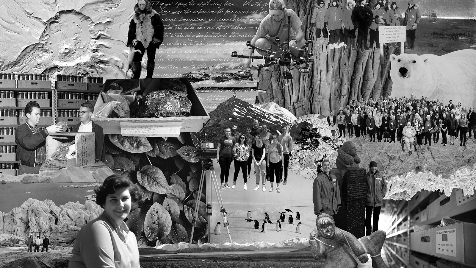 black and white library mural featuring photos of staff, artifacts, and animals 