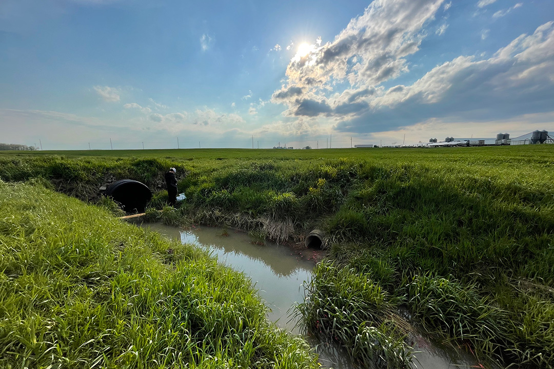 a grassy field with water running through it and a sunny sky 