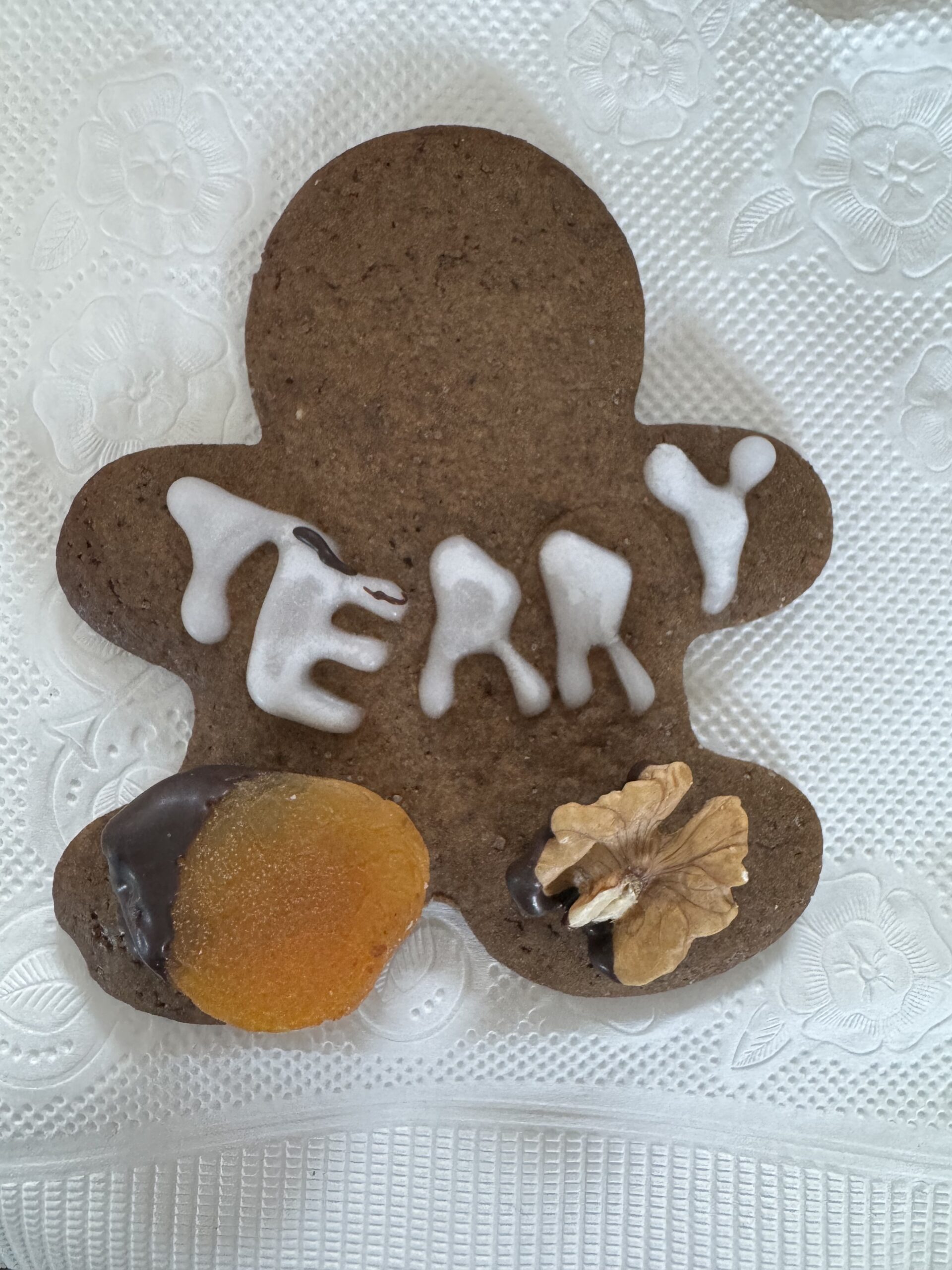 A gingerbread cookie in the shape of a person with Terry written with white icing and  chocolate dipped apricot and walnut boots