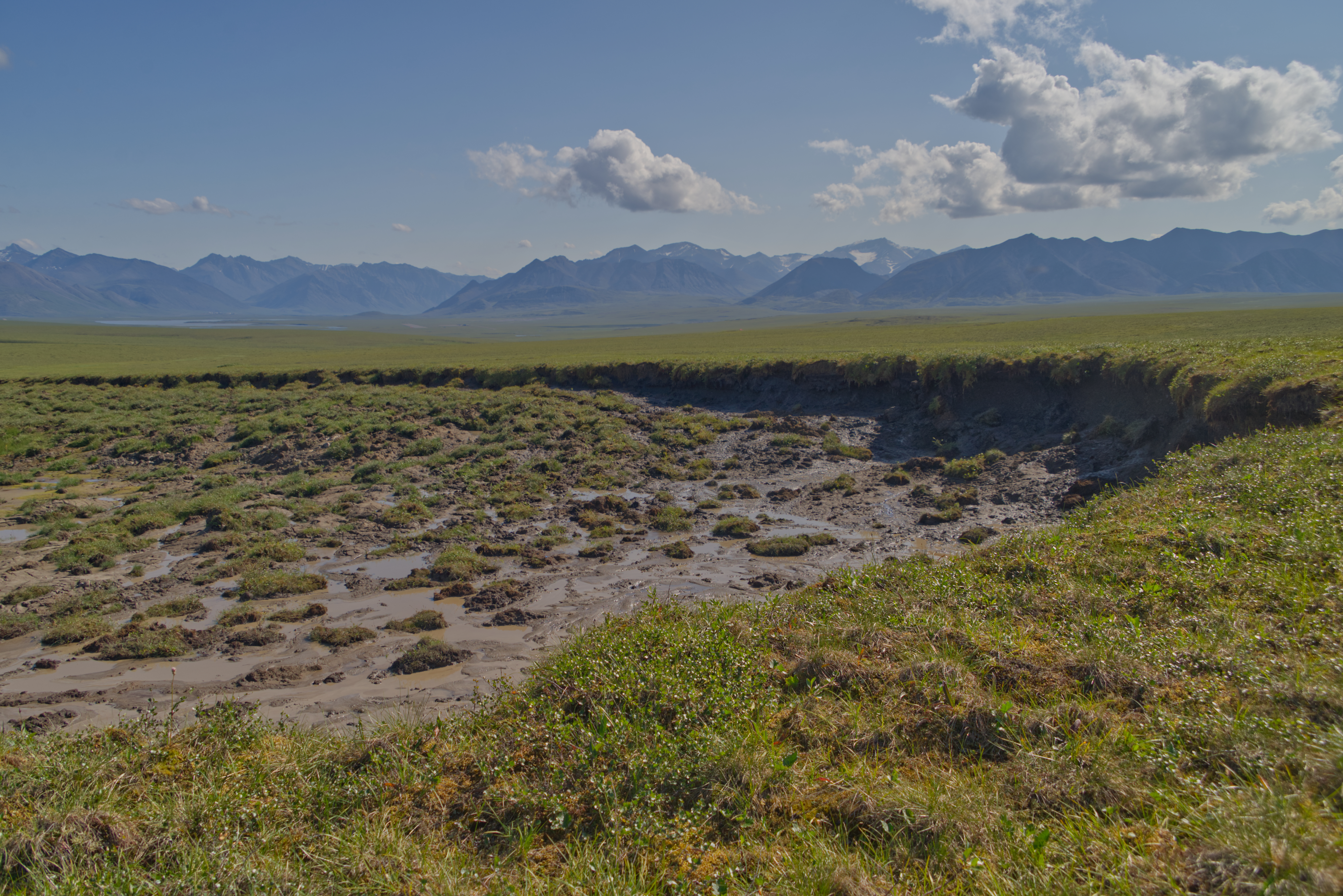 A mud and grass field with mountains in a distance some with snow under blue skies with white clouds.