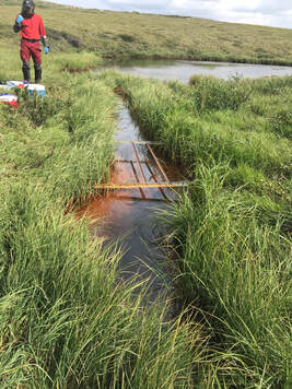 A person standing in a sloped grassy field next to a stream.