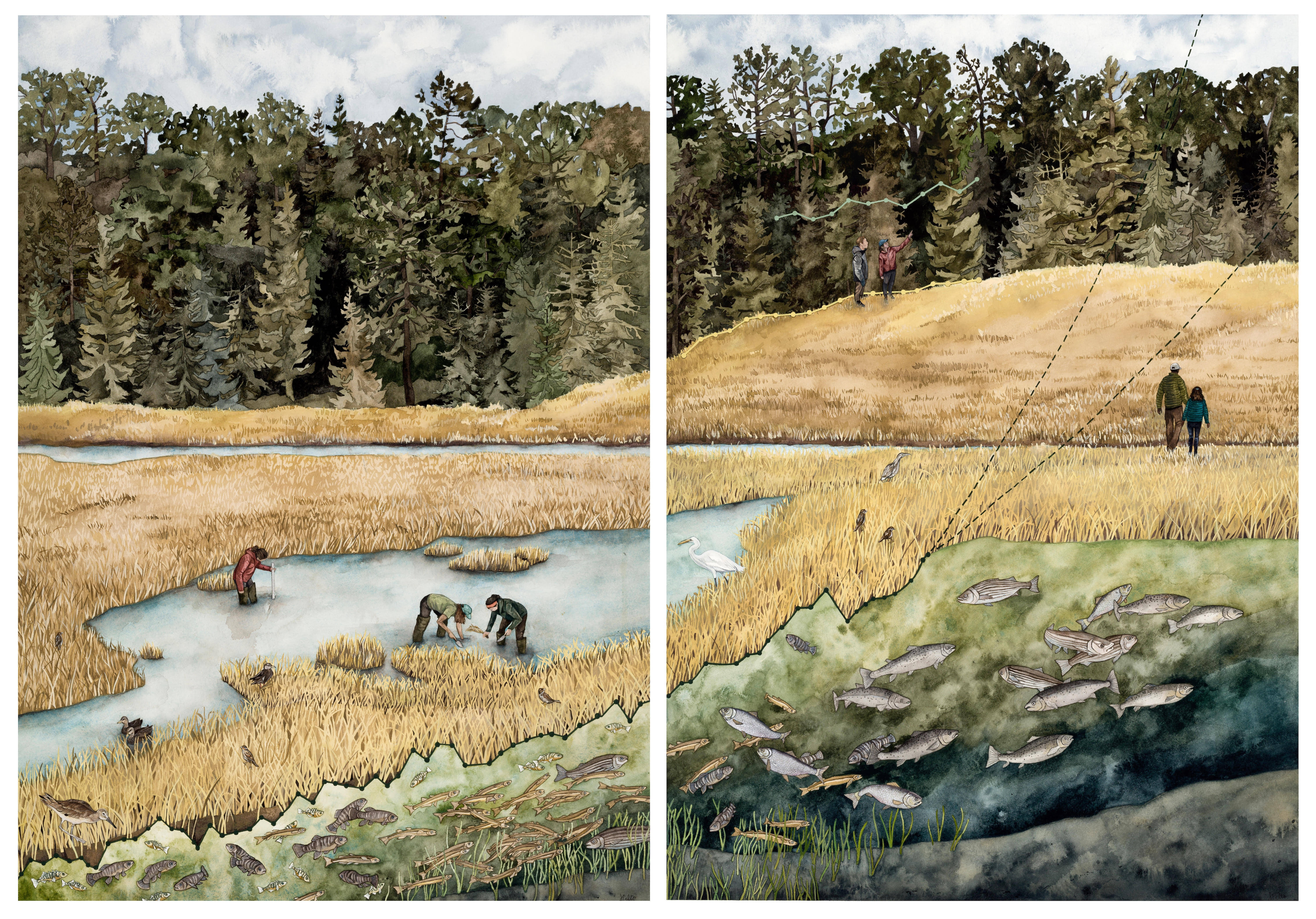 A vibrant landscape painting of people walking in a hay field, others standing on a hill with pine trees in the background, a stream with many fish swimming in it, birds and people in a pond planting and measuring water depth and birds all around.