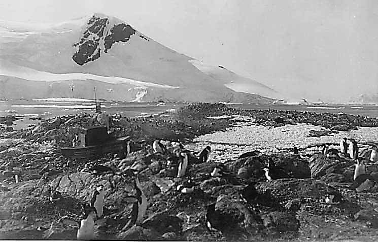 Black-and-white photograph of a coastal Antarctic scene.