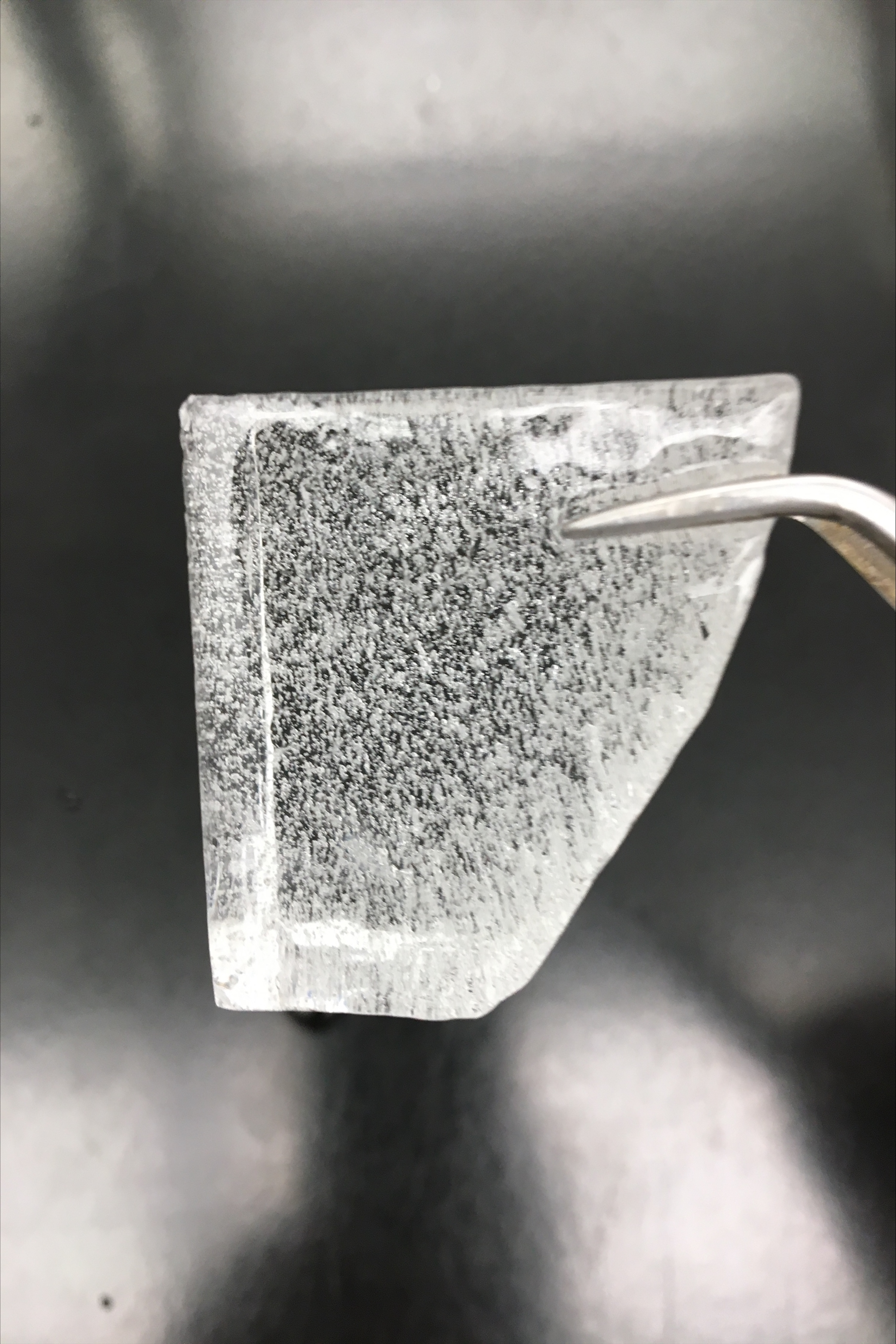 Tweezers hold a thin layer of ice with small air bubbles throughout 