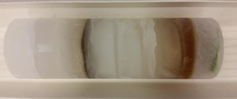 Classroom Ice Core