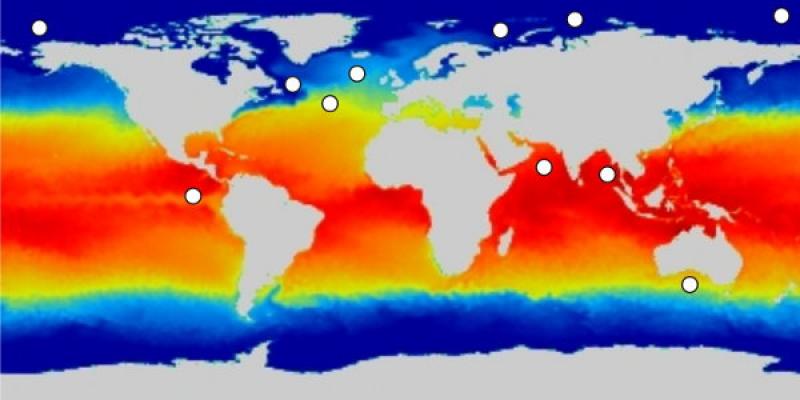 Example image generated by paleoceanography software. Multicolored background with the white outline of the continents 