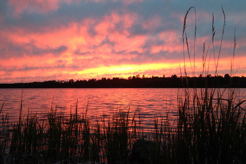 Orange and pink sunset over lake. The lake is surrounded by trees and grass.