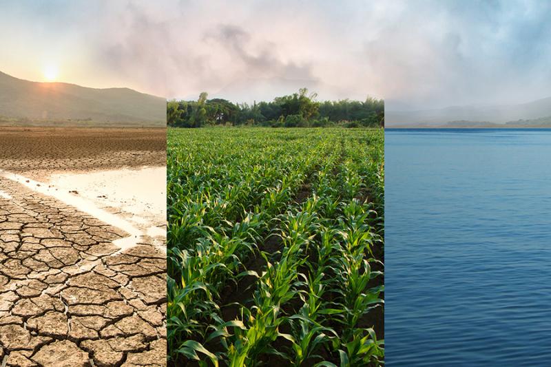 A three paneled image showing first drought, then crops, then water