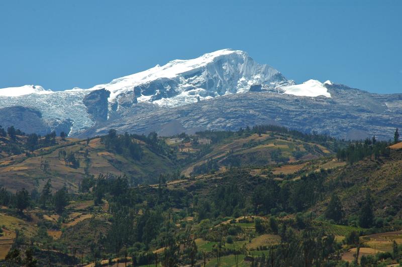 A white glacier on top of a mountain on a sunny day. Many trees are on the hilly foreground.