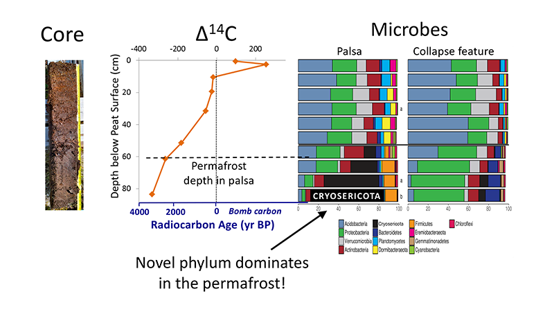 20190502-microbes-virginia-rich-m 20190502-microbes-virginia-rich-m