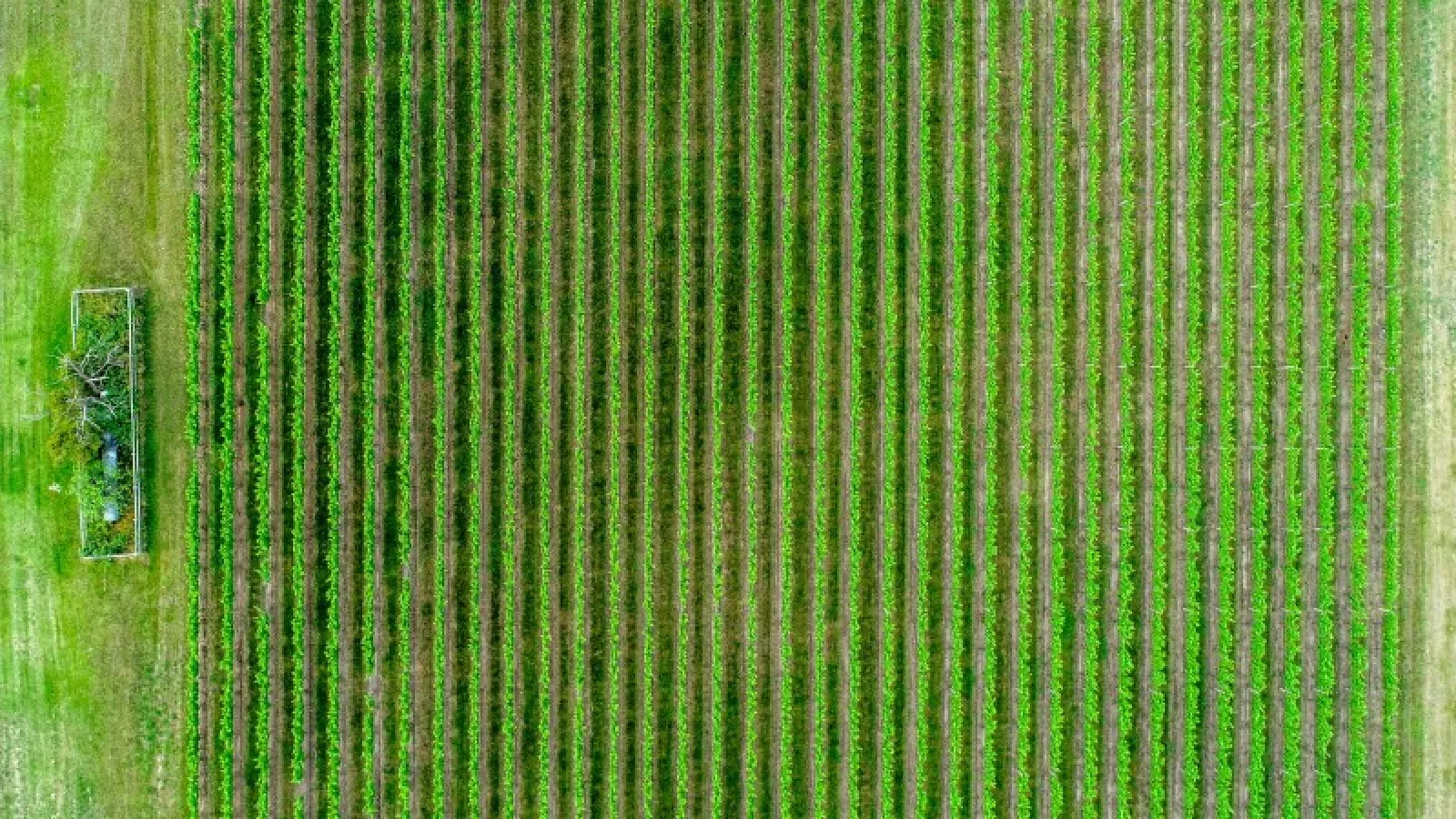 Aerial photograph of farmland