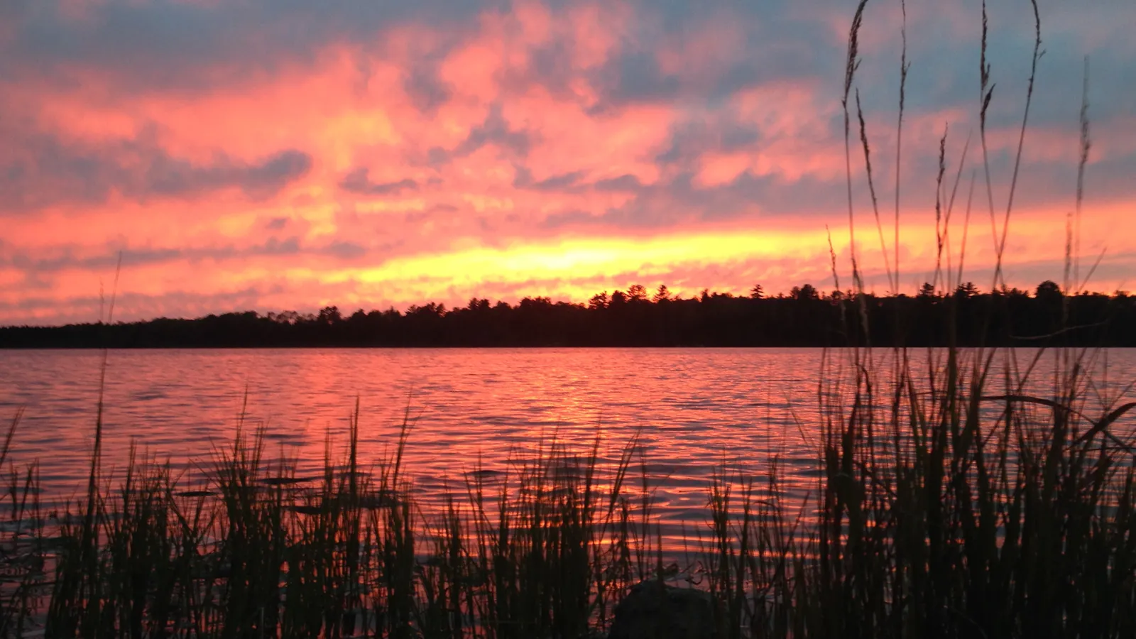 Orange and pink sunset over lake. The lake is surrounded by trees and grass.