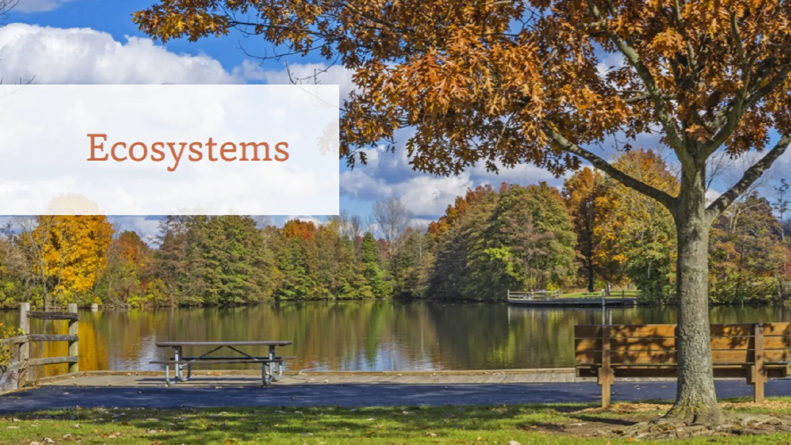 A lake in the fall time surrounded by trees with green, yellow and red leaves. The photo has the text 'ecosystems' written on it 