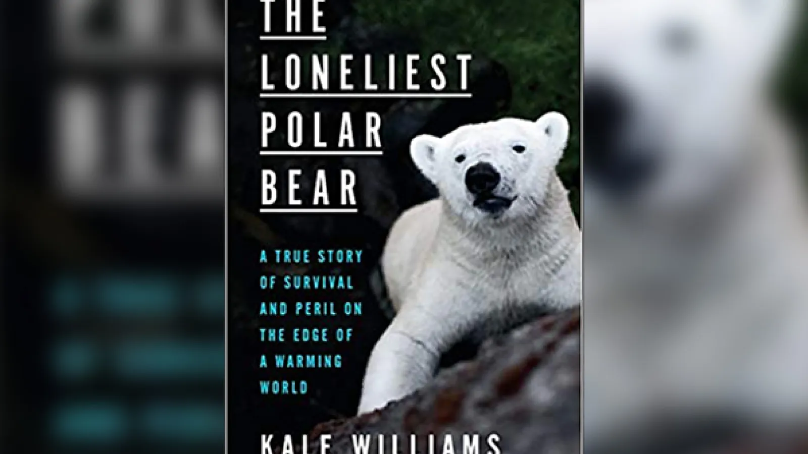 The cover of the Loneliest Polar Bear. It is a black cover with a white bear and white text