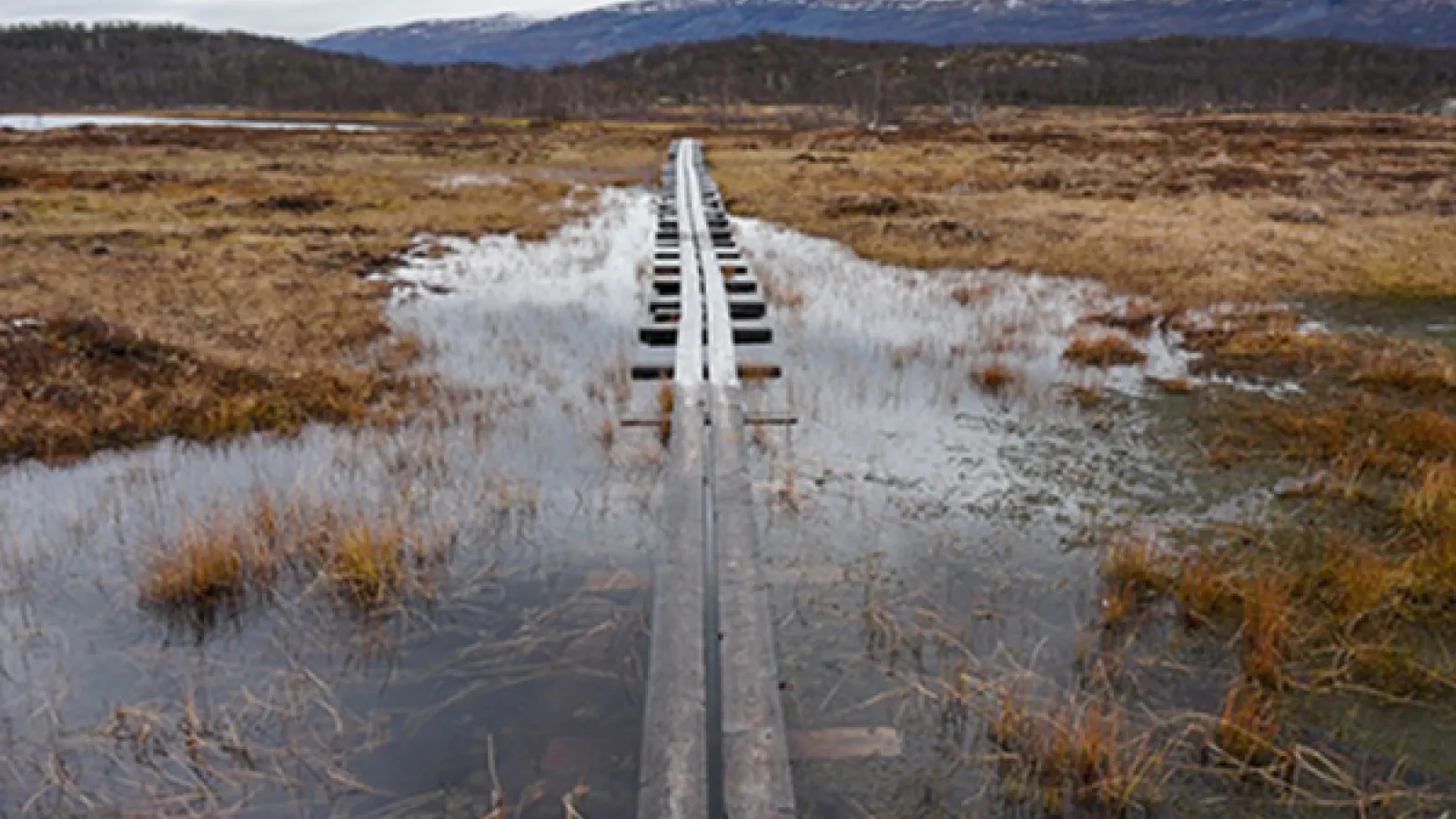 Field of brown grass flooded with water and a mountain range in the background 
