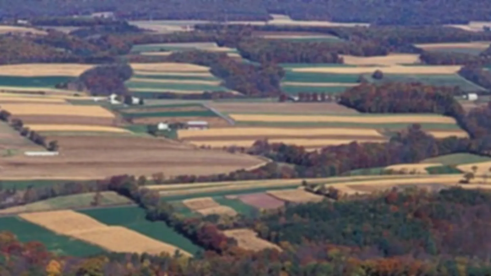 Ariel view of agricultural land 