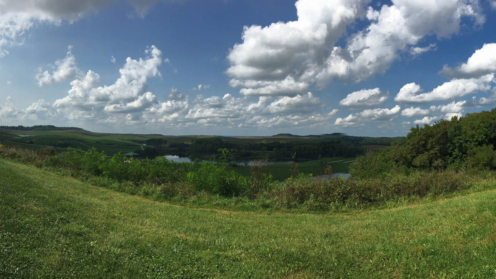 A green grassy landscape with a blue sky and white fluffy clouds