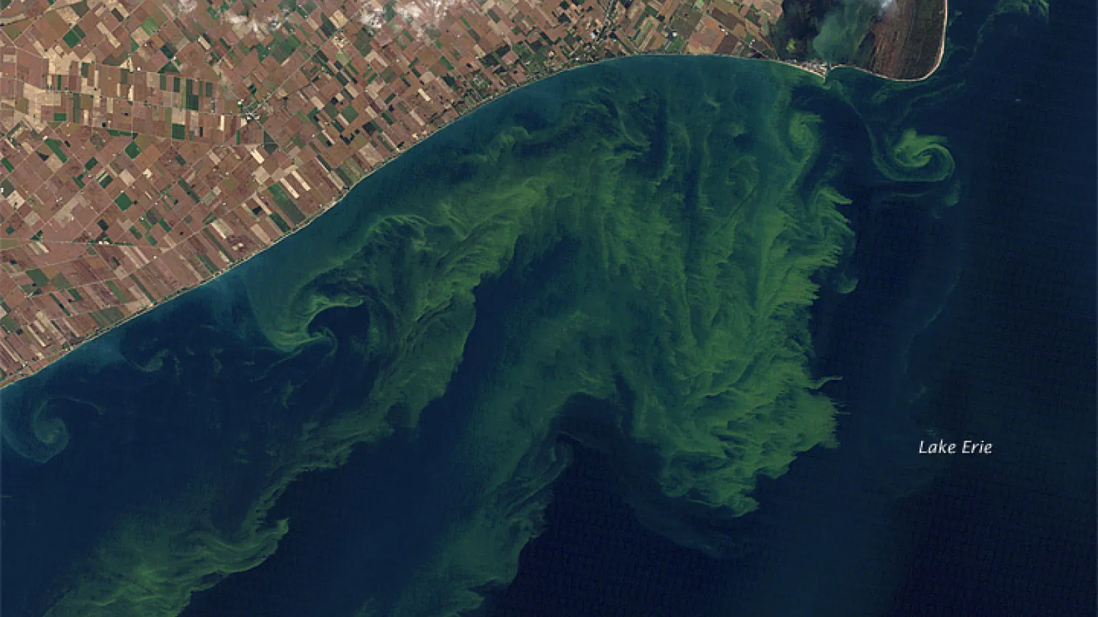 Ariel view of a Lake Erie algae bloom