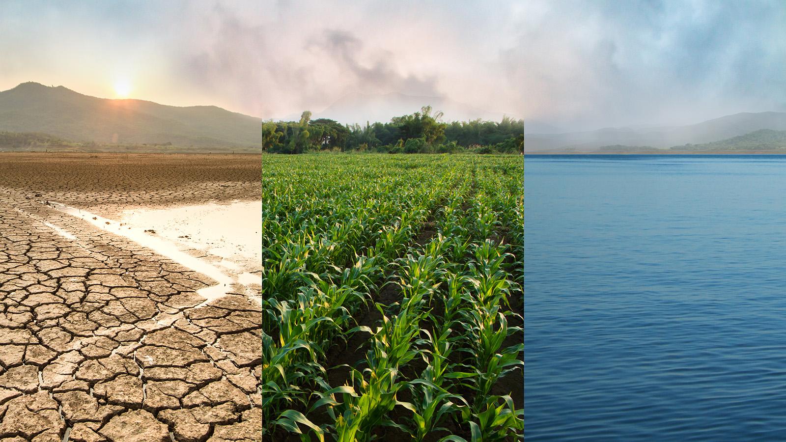 A three paneled image showing first drought, then crops, then water