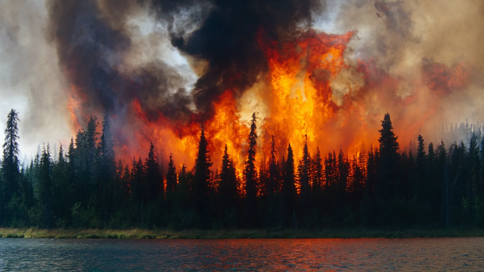 Arctic Fire. Smoke and flames are rising from the tree lined landscape