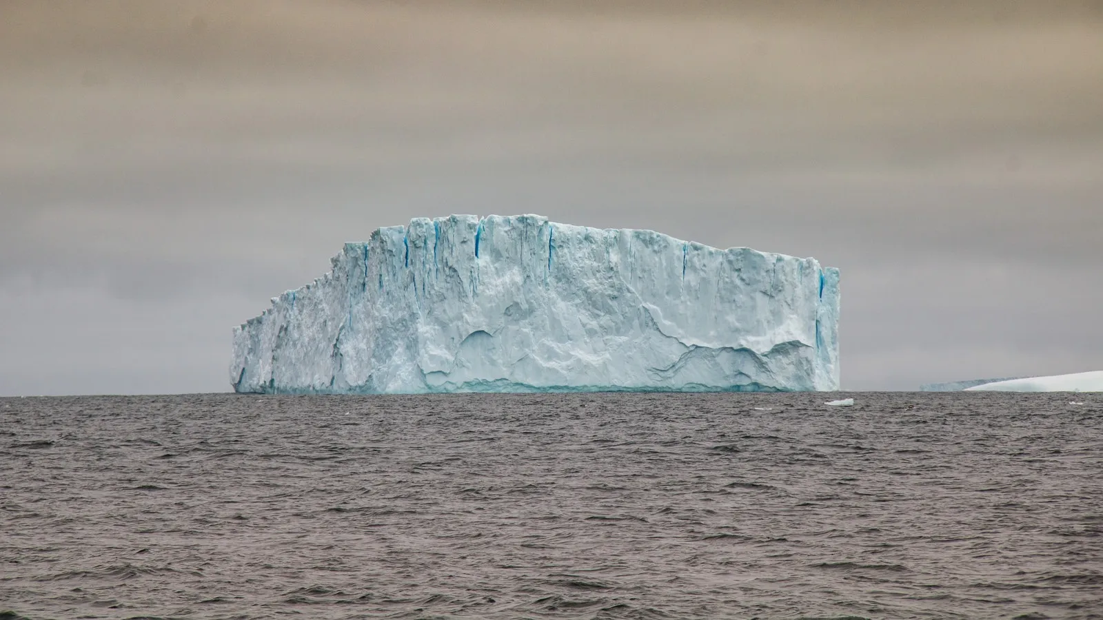 Antarctica Iceberg in water