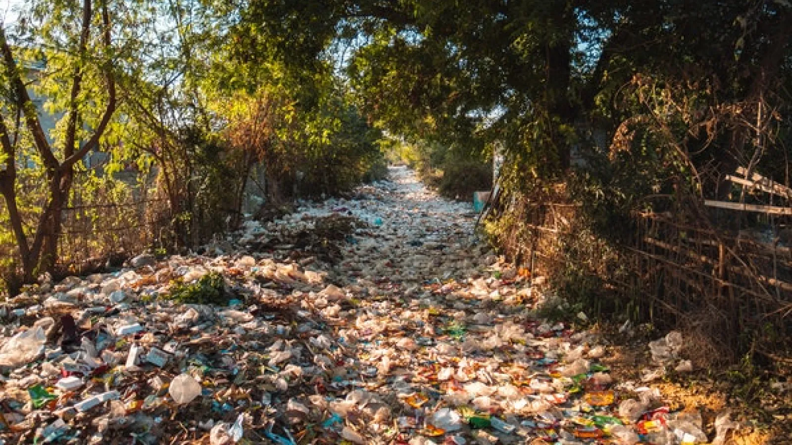 trash overflowing in the street covering the road 