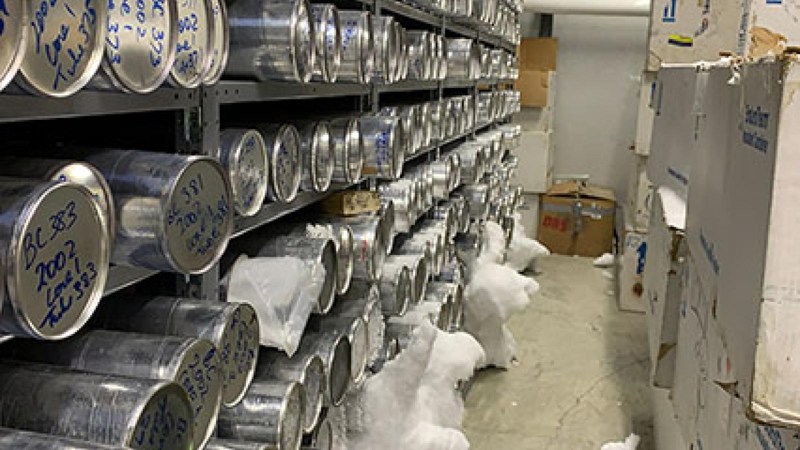 Ice core tubes on shelving with frost build up and ice overflowing onto ground