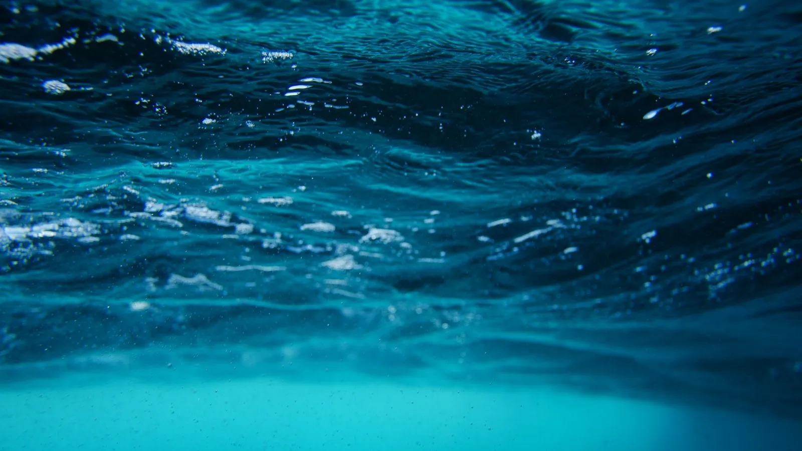 under water Picture of Ocean off Chile 