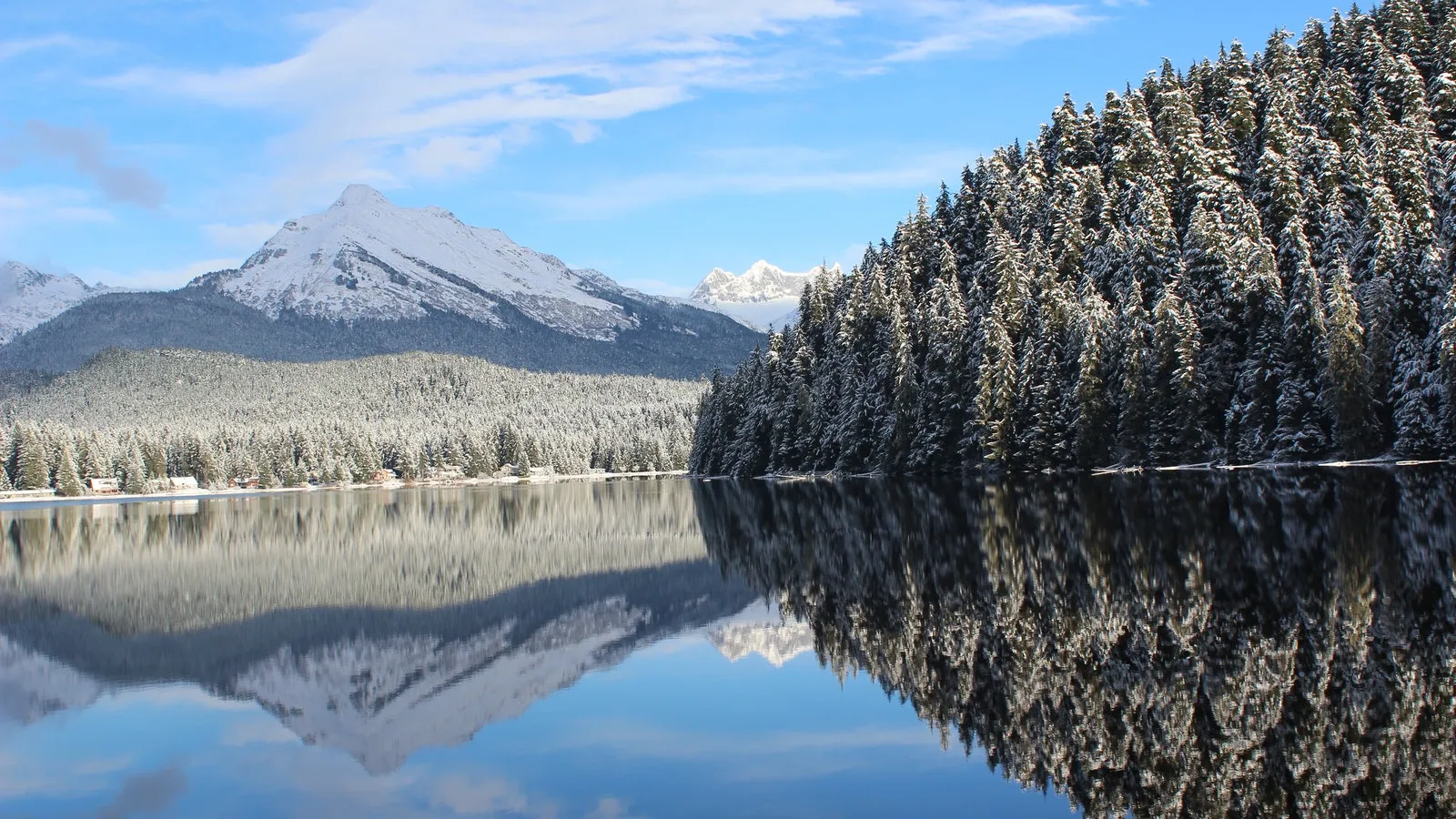Trees Near Lake Under Blue Sky and snow covered mountains at a distance