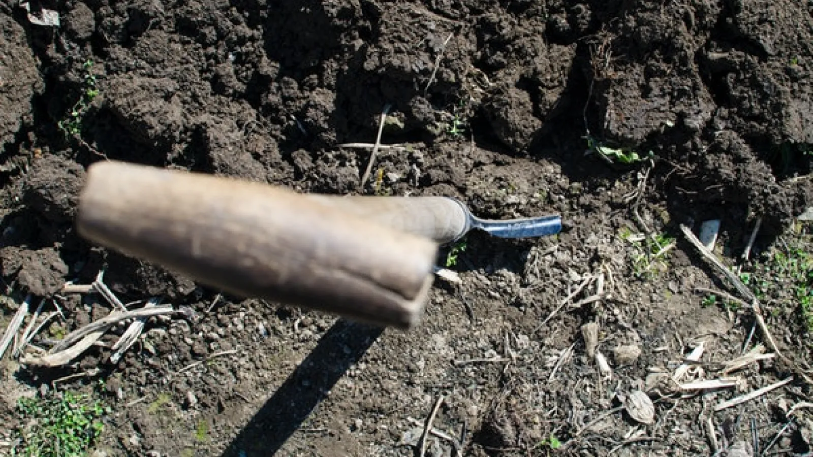 Shovel in dirt