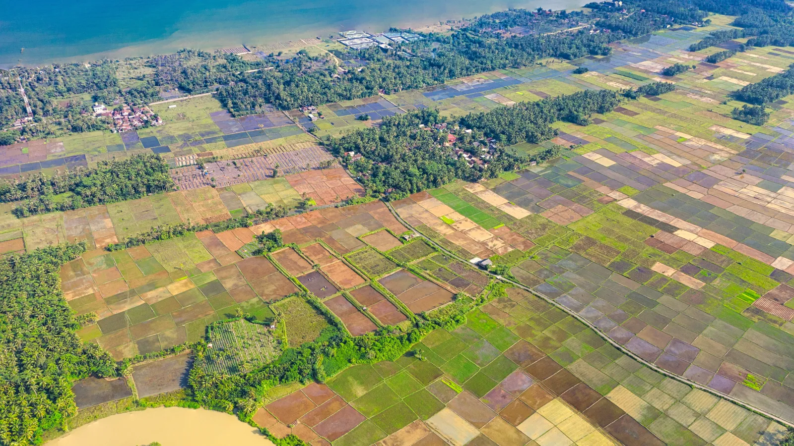 Aerial image of muddy river, farm patches and the ocean at a distance