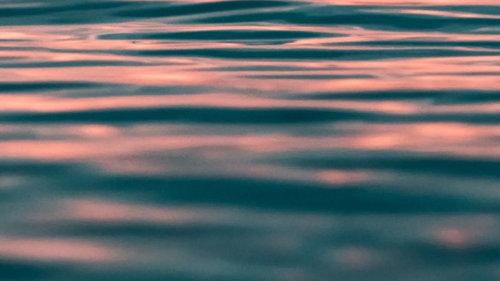 Close up of a calm body of water with the reflection of sun in it