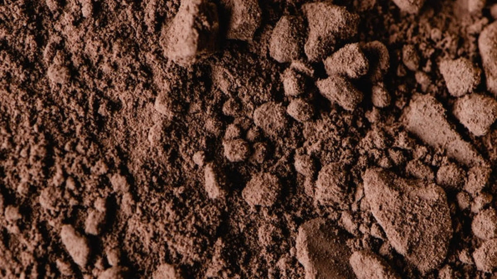 image or brown soil and brown rocks in ground