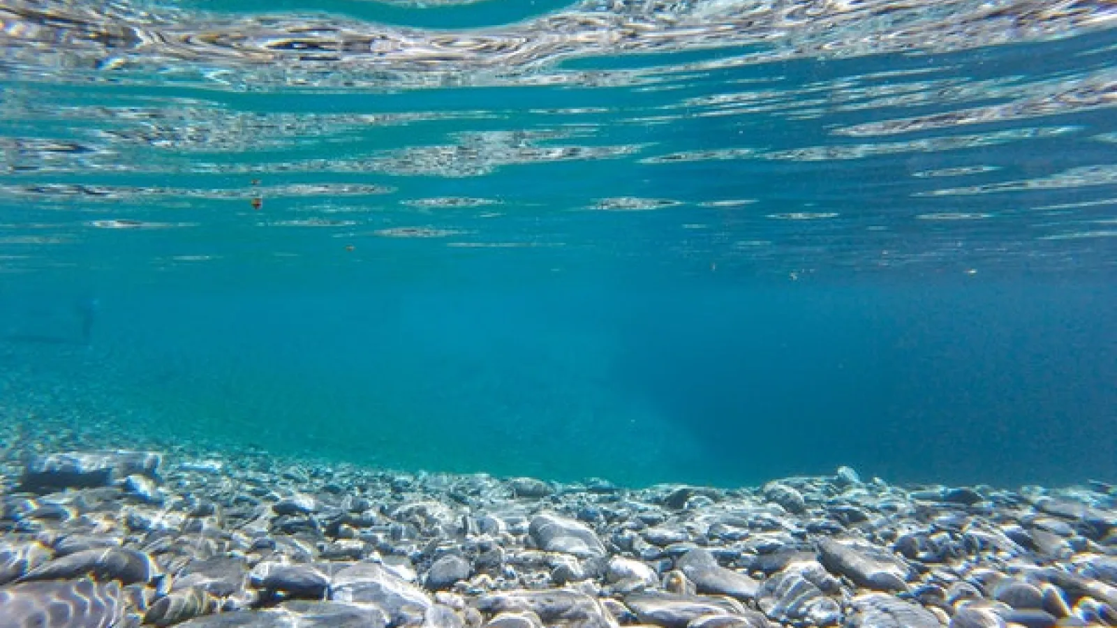 Shallow under water scene with clear blue water and rock sea floor.