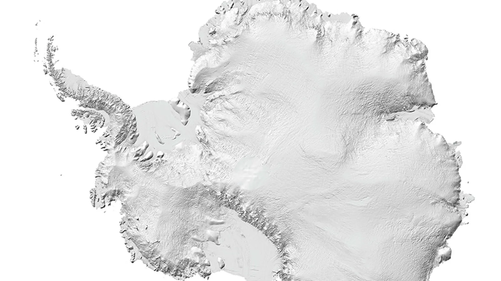Map of the Reference Elevation Model of Antarctica (REMA), rendered with a hillshade. It looks like the continent of Antarctica with details for elevations and rock formations set against a white background.