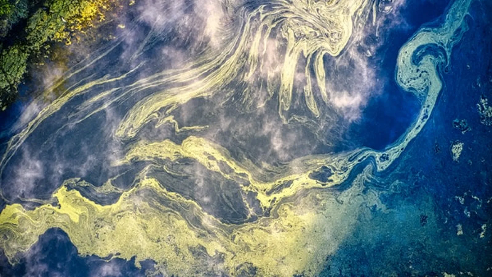 Aerial view of algal bloom in water with hues of yellow green and blue