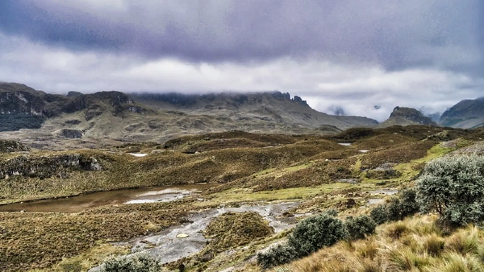 Field with low, light green vegetation with mountains in distance and white and dark gray rain cloud cover