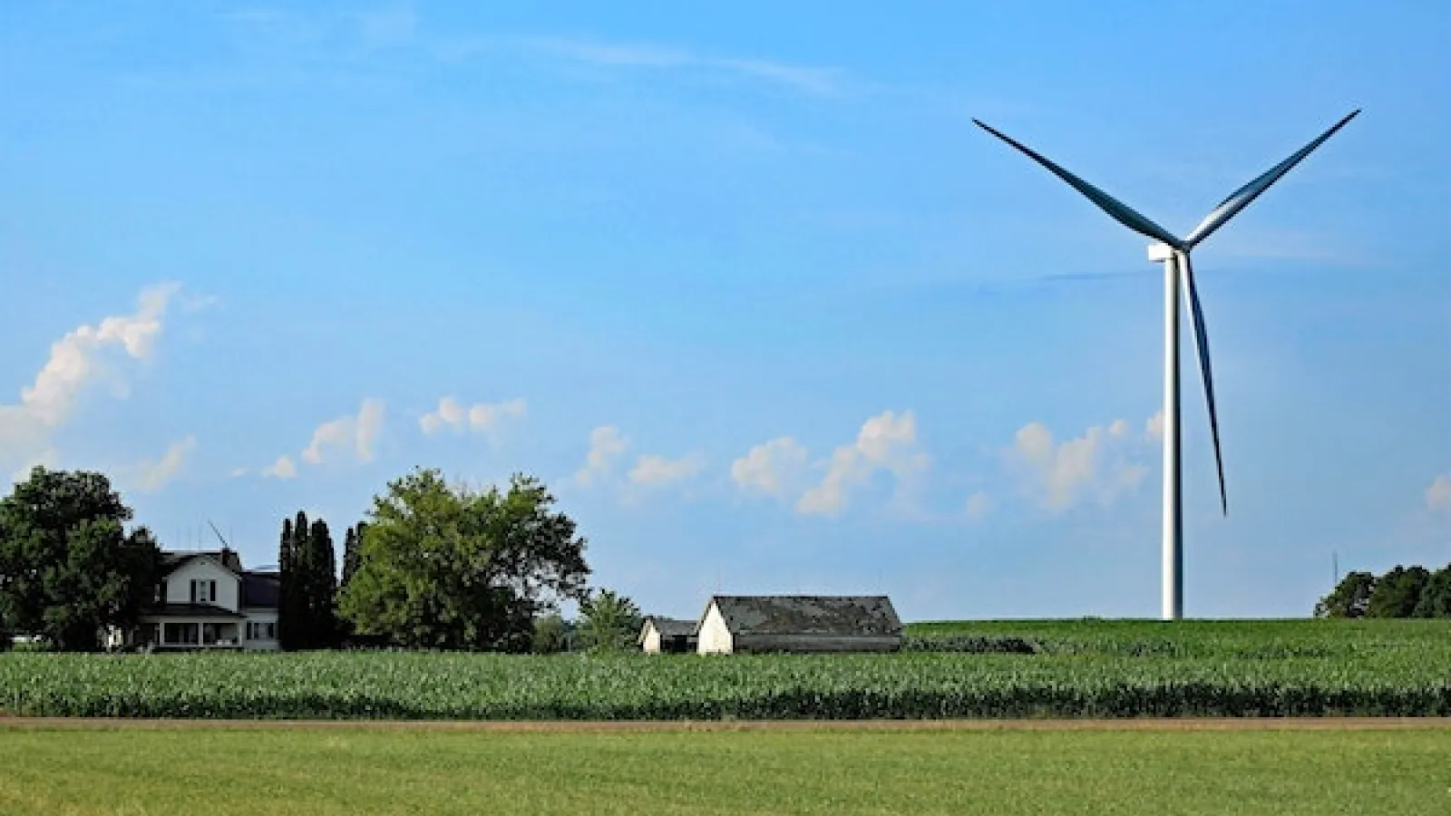 Green grass field in foreground then corn field with a house on the left, a couple barn houses close by in the middle of the image and a corn field and trees as well as a wind turbine on the right side with some white puffy clouds and a blue sky.