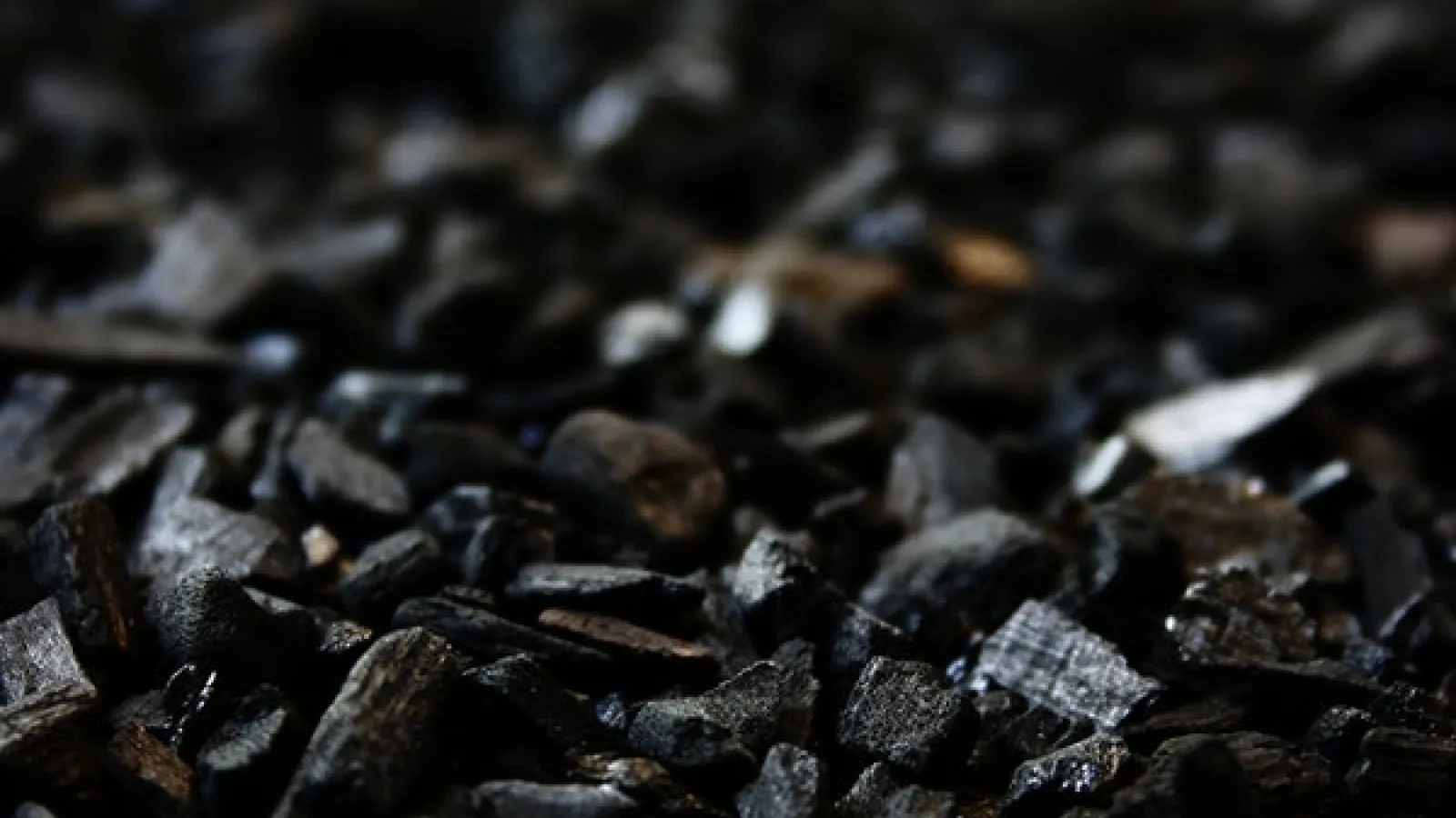 pieces of black charcoal on the ground in a dark area with little light