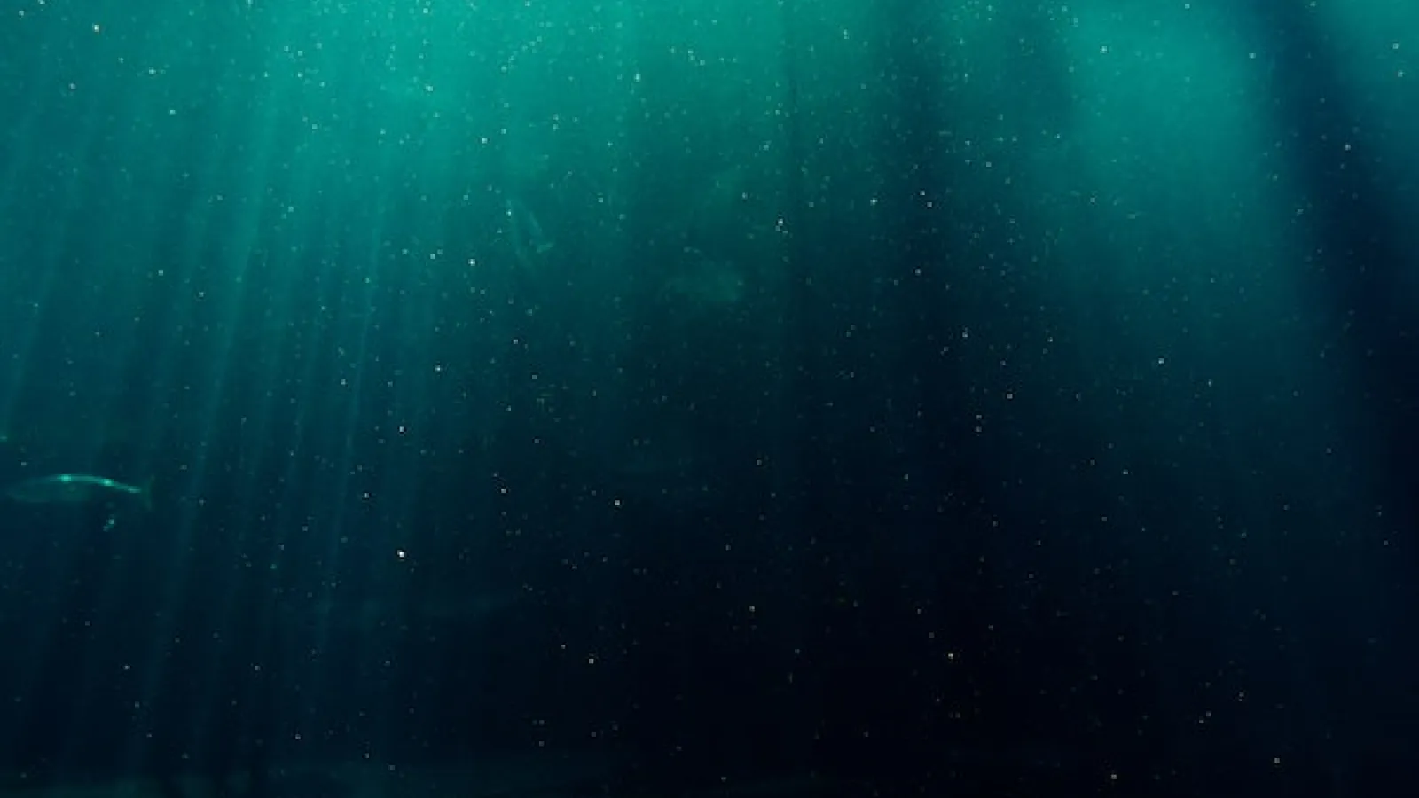 under a body of emerald green water, dark at the bottom with rays of light coming from above