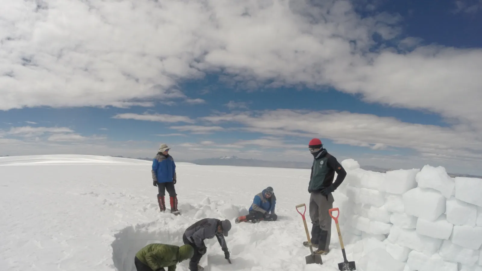 Group doing field work