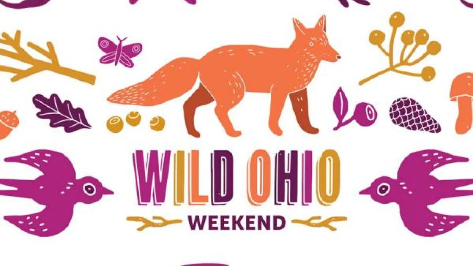 Wild Ohio Weekend Logo