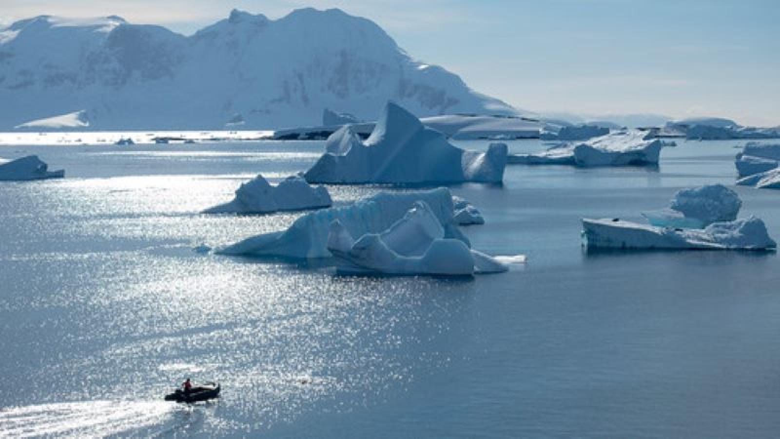 icebergs floating in Antarctic water