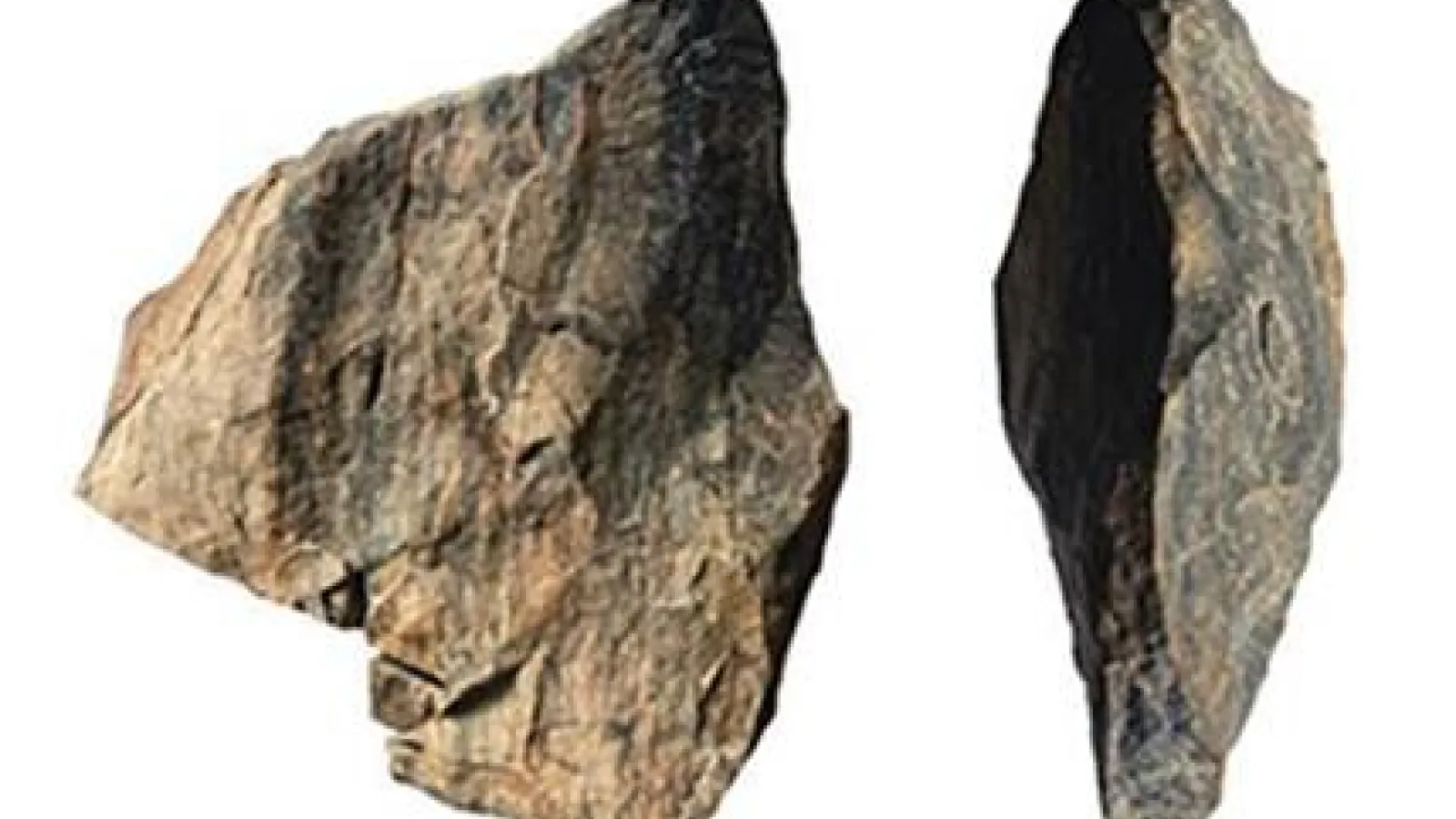 2 images of a brown rock side by side from different angles