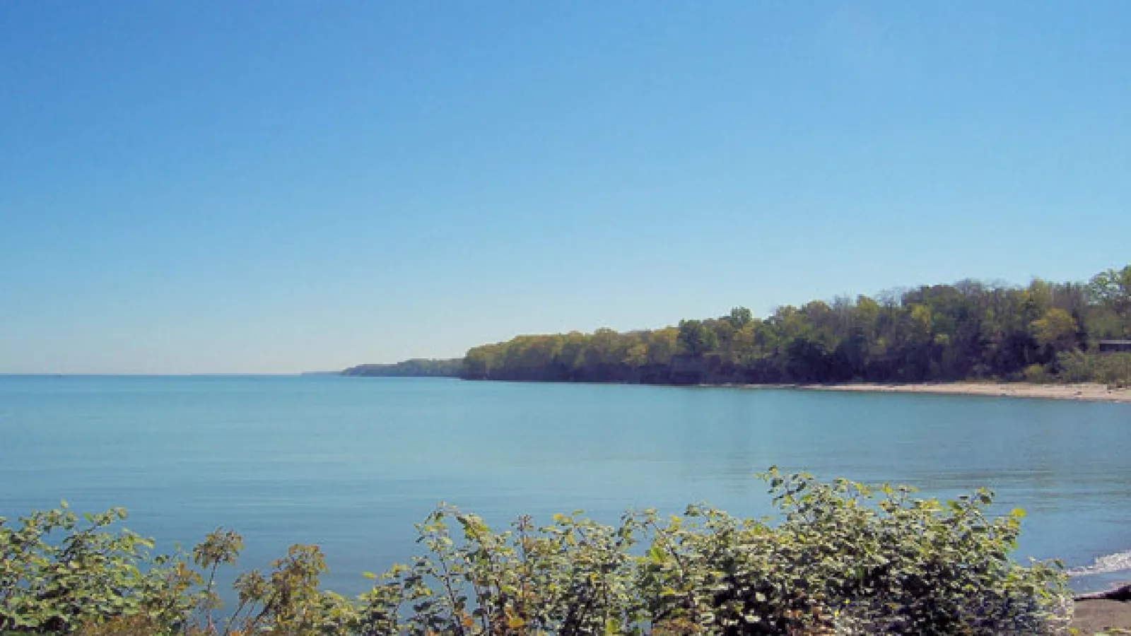 A lake bordered by grass, low shrubs, and trees witha perfectly clear sky overhead.