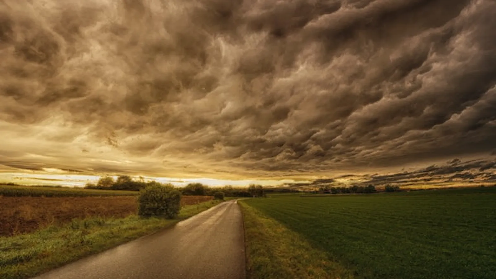 landscape of a field on either side of a road and gray sky and clouds above.