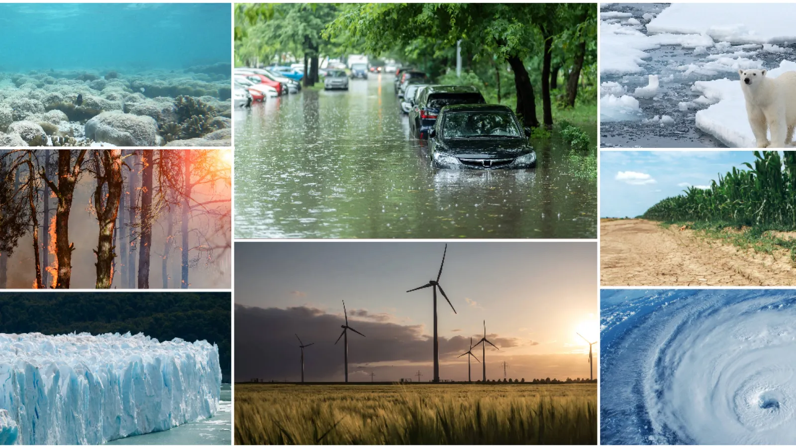 Collage of multiple images 3 columns with 3 images in left and right cell and 2 in the middle.  Left top to bottom  bleached coral, trees burning and glacier ice wall melting in water. Middle top and bottom cars submerged in water on a street and wind turbines in a grassy field. right tope to bottom:2 polar bears, dry corn field and  a hurricane from space. all images are framed with white boarder.