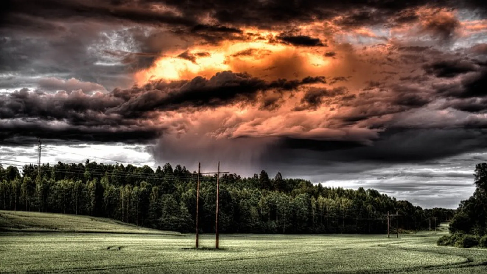 Trees and power lines in a field with dark and orange clouds