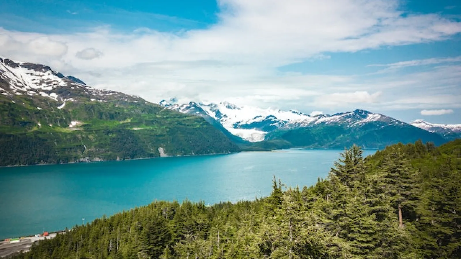 Green trees surrounding a body of water under blue skies with snow-capped mountains in the distance.