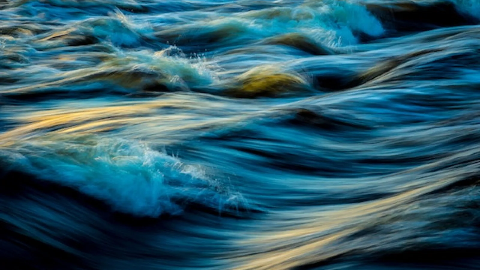 Waves in a body of water.